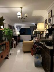 Blk 263 Waterloo Street (Central Area), HDB 3 Rooms #527458551